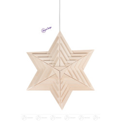 Weihnachtsstern doppelt...