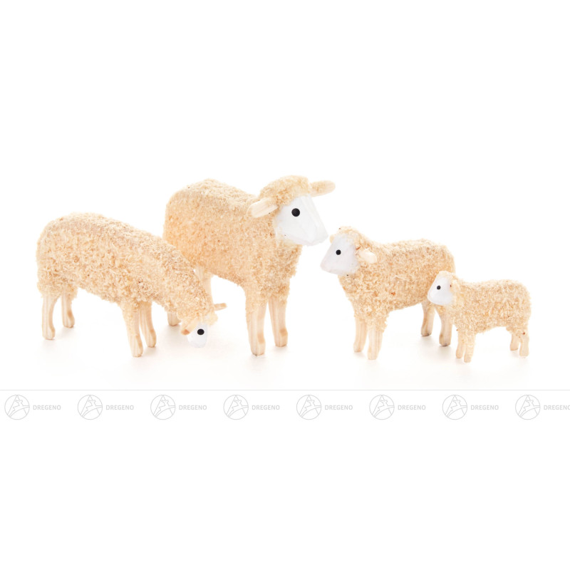 Miniatur Schafe (4)