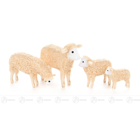Miniatur Schafe (4)