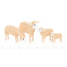 Miniatur Schafe (4)
