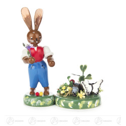 Hase Frühlingserwachen