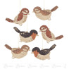 Behang Vögel (6)