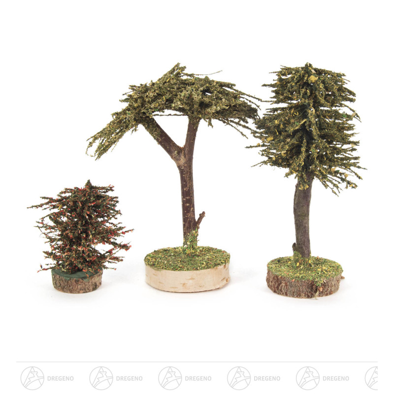 Verschiedene Bäume (3)