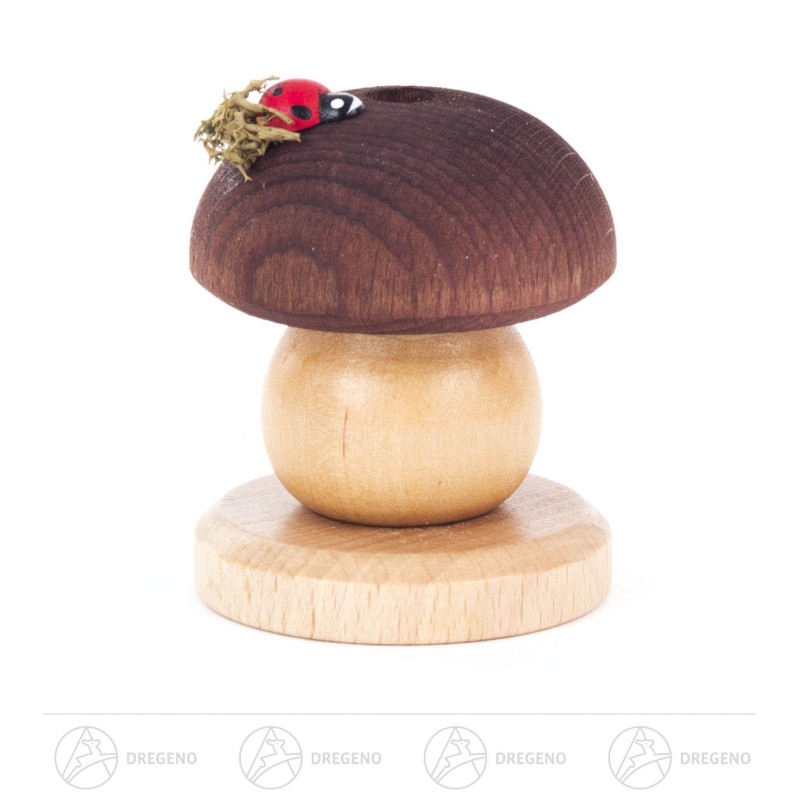 Räucherpilz Braunkappe mit Käfer