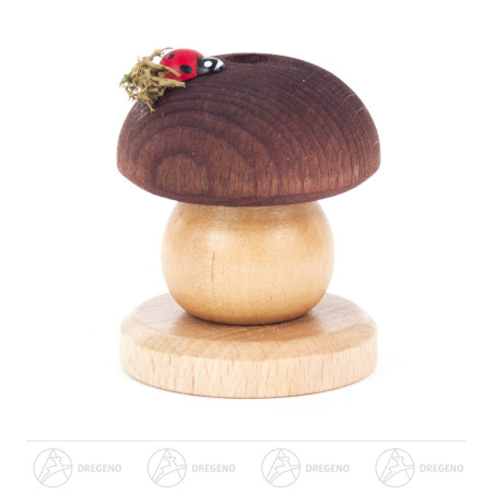 Räucherpilz Braunkappe mit Käfer