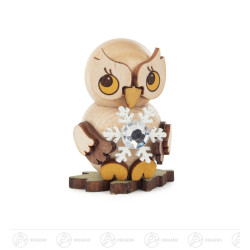 Eulenkind mit Schneestern...