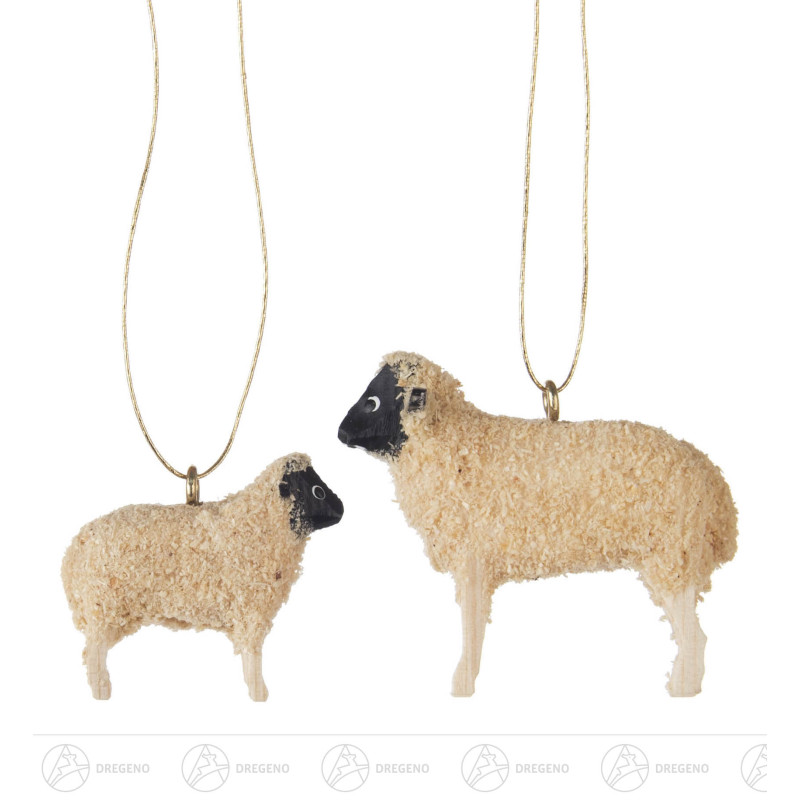 Behang Rhönschaf (2)