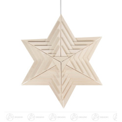 Weihnachtsstern, elektr....