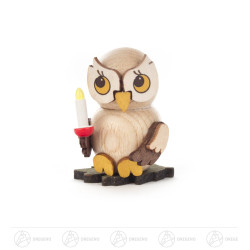 Eulenkind mit Kerze zum...