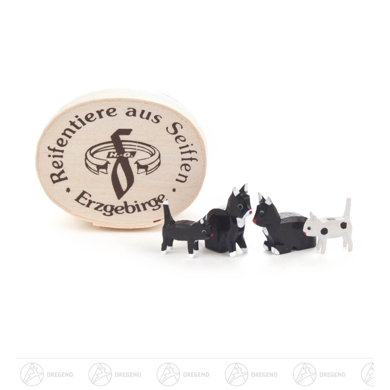 Katzenfamilie klein in Spandose (4)