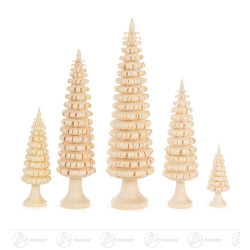 Ringelbäume mit Stamm (5)