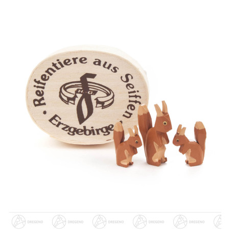 Eichhörnchenfamilie in Spandose (3)