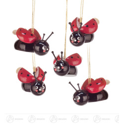 Behang Marienkäfer (5) 3cm