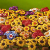 Blumenstöckchen (12)  4cm