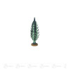 Spanbaum grün, 12cm